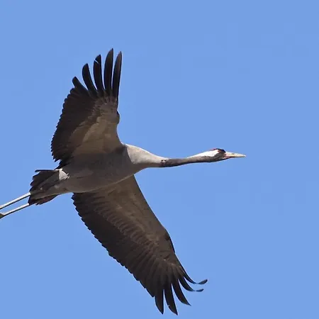 Wiatr I Woda بيت للعطل