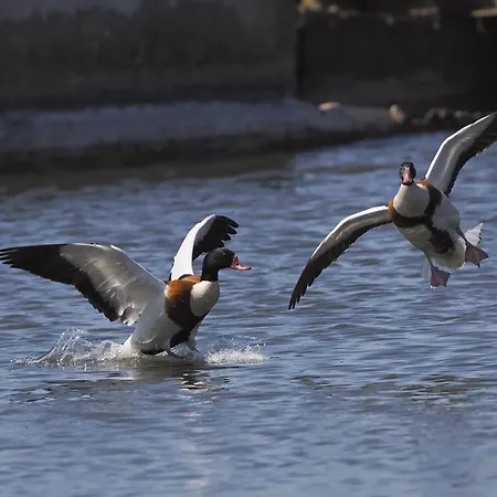 Wiatr I Woda * Jastarnia