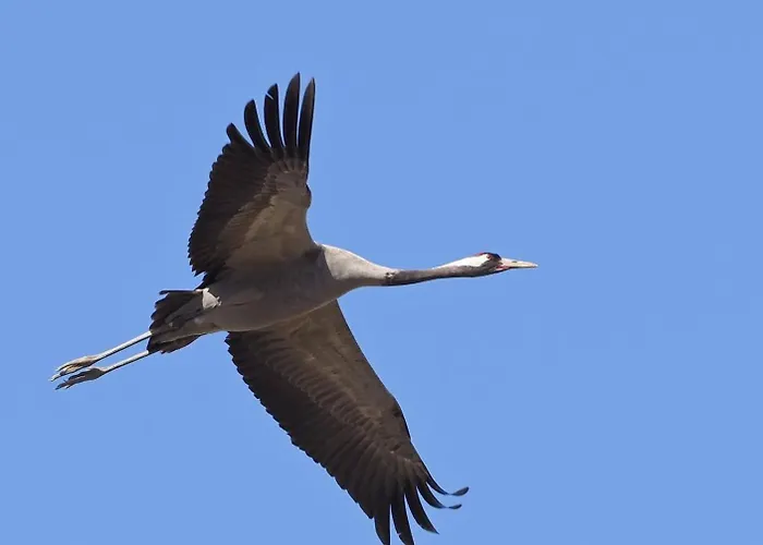 Wiatr I Woda 度假居