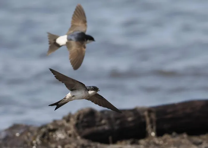 Wiatr I Woda 度假居 亚斯塔尔尼亚